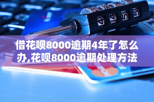 借花呗8000逾期4年了怎么办,花呗8000逾期处理方法分享