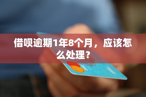 借呗逾期1年8个月，应该怎么处理？