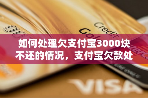 如何处理欠支付宝3000块不还的情况，支付宝欠款处理方法介绍