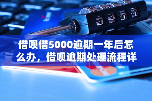 借呗借5000逾期一年后怎么办，借呗逾期处理流程详解