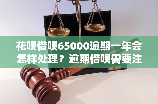 花呗借呗65000逾期一年会怎样处理？逾期借呗需要注意什么？