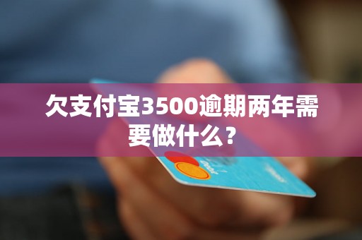 欠支付宝3500逾期两年需要做什么？