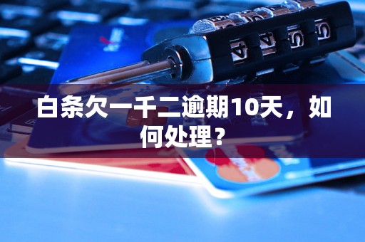 白条欠一千二逾期10天，如何处理？