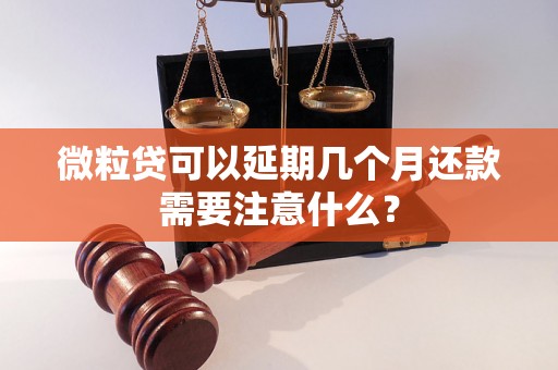 微粒贷可以延期几个月还款需要注意什么？