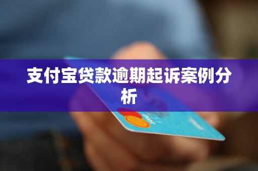 支付宝贷款逾期起诉案例分析