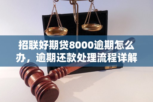 招联好期贷8000逾期怎么办，逾期还款处理流程详解