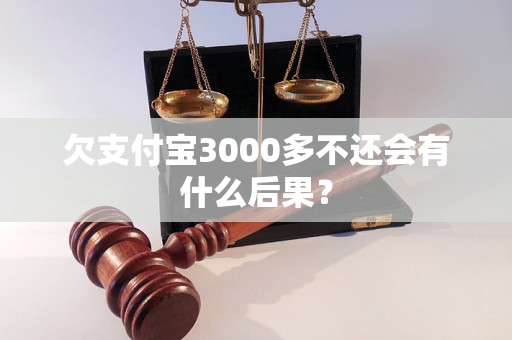 欠支付宝3000多不还会有什么后果？