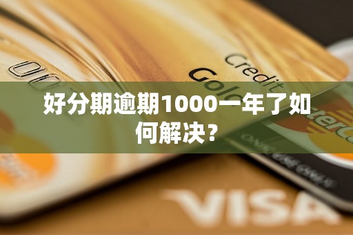 好分期逾期1000一年了如何解决？