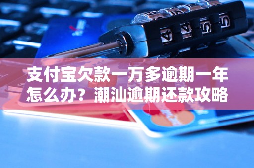 支付宝欠款一万多逾期一年怎么办？潮汕逾期还款攻略