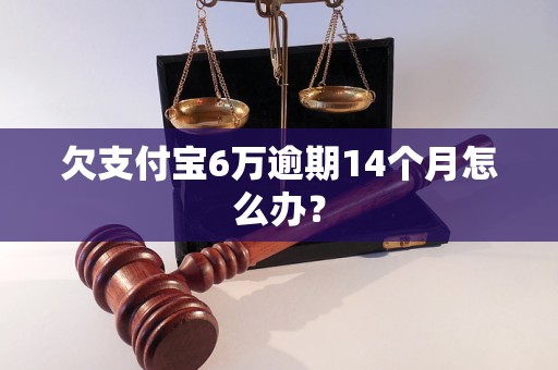 欠支付宝6万逾期14个月怎么办？