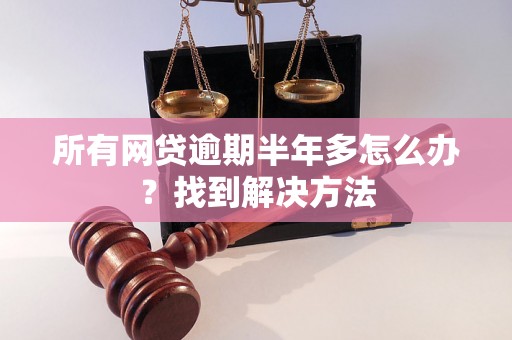 所有网贷逾期半年多怎么办？找到解决方法