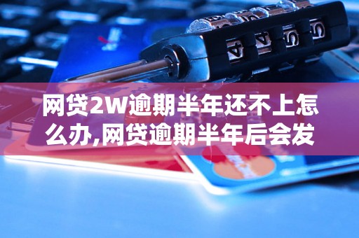 网贷2W逾期半年还不上怎么办,网贷逾期半年后会发生什么