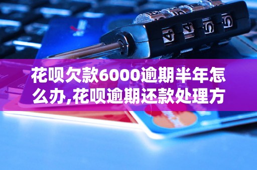 花呗欠款6000逾期半年怎么办,花呗逾期还款处理方案