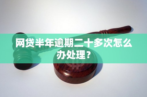 网贷半年逾期二十多次怎么办处理？