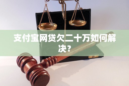 支付宝网贷欠二十万如何解决？