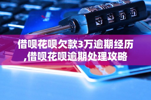 借呗花呗欠款3万逾期经历,借呗花呗逾期处理攻略 借呗花呗欠款3万逾期经历,借呗花呗逾期处理攻略
