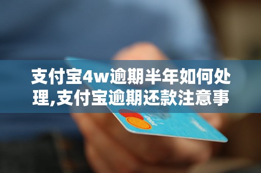 支付宝4w逾期半年如何处理,支付宝逾期还款注意事项