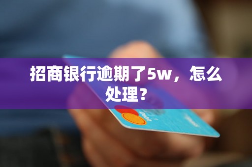 招商银行逾期了5w，怎么处理？