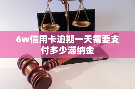 6w信用卡逾期一天需要支付多少滞纳金