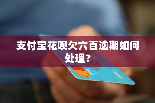 支付宝花呗欠六百逾期如何处理？