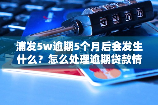 浦发5w逾期5个月后会发生什么？怎么处理逾期贷款情况