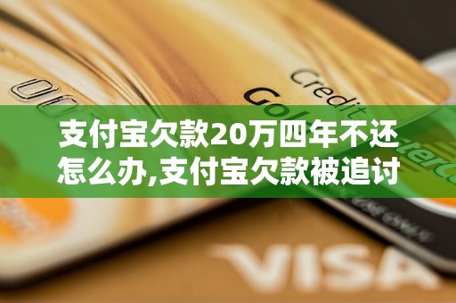 支付宝欠款20万四年不还怎么办,支付宝欠款被追讨处理方法