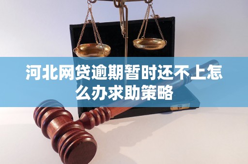 河北网贷逾期暂时还不上怎么办求助策略