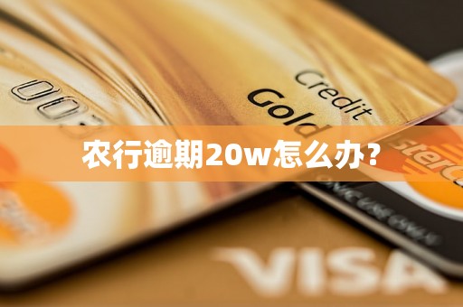 农行逾期20w怎么办？