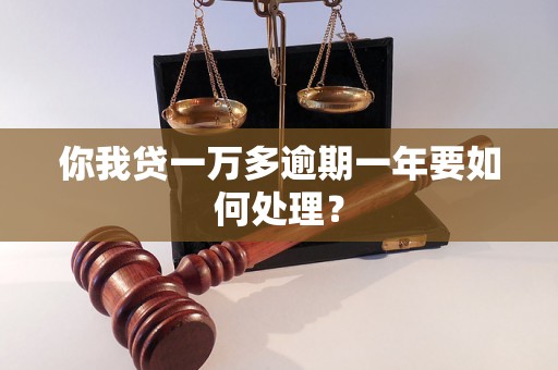 你我贷一万多逾期一年要如何处理？