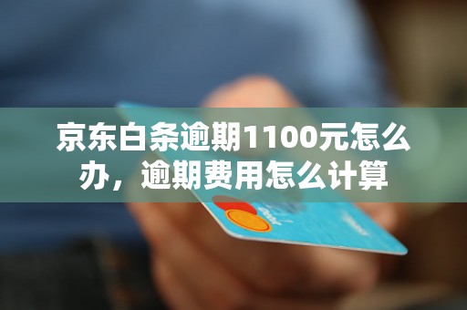 京东白条逾期1100元怎么办，逾期费用怎么计算