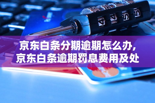 京东白条分期逾期怎么办,京东白条逾期罚息费用及处理流程