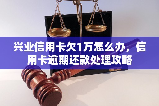 兴业信用卡欠1万怎么办，信用卡逾期还款处理攻略