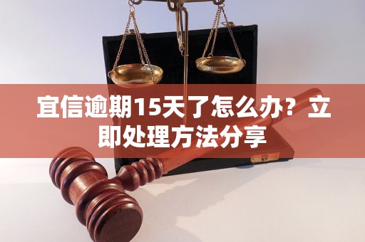 宜信逾期15天了怎么办？立即处理方法分享