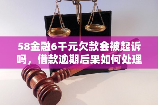 58金融6千元欠款会被起诉吗，借款逾期后果如何处理