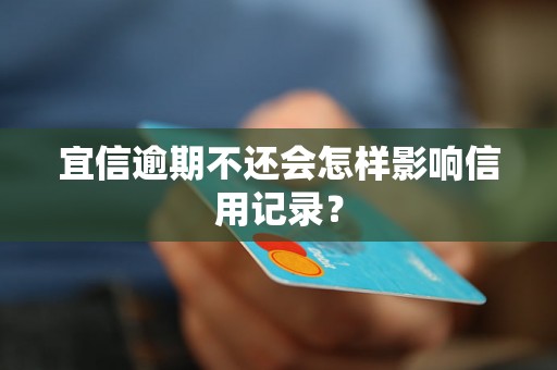 宜信逾期不还会怎样影响信用记录？