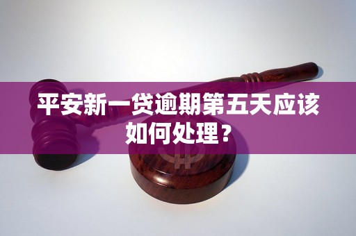 平安新一贷逾期第五天应该如何处理？