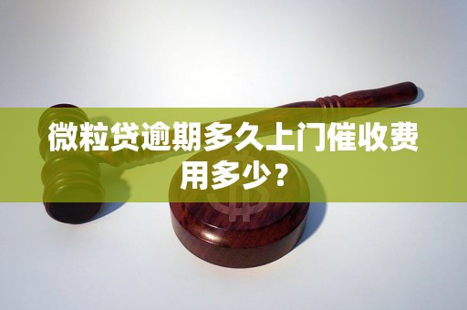 微粒贷逾期多久上门催收费用多少？