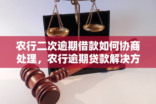 农行二次逾期借款如何协商处理，农行逾期贷款解决方案