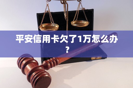 平安信用卡欠了1万怎么办？