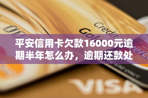 平安信用卡欠款16000元逾期半年怎么办，逾期还款处理方法详解