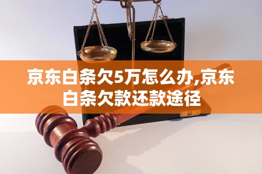 京东白条欠5万怎么办,京东白条欠款还款途径