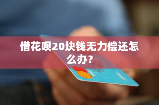 借花呗20块钱无力偿还怎么办？