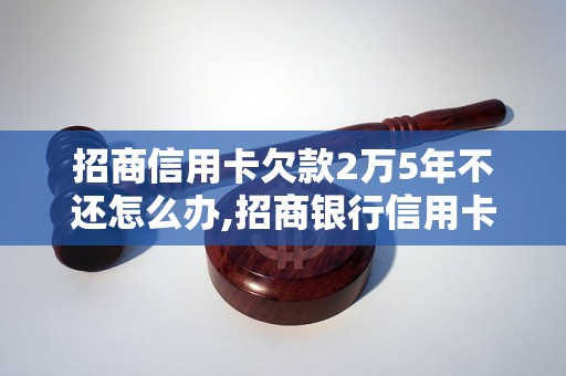 招商信用卡欠款2万5年不还怎么办,招商银行信用卡欠款处理流程