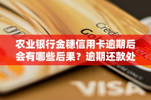 农业银行金穗信用卡逾期后会有哪些后果？逾期还款处理方式详解