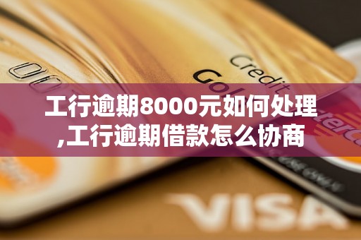 工行逾期8000元如何处理,工行逾期借款怎么协商