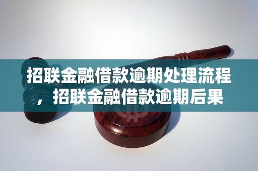 招联金融借款逾期处理流程，招联金融借款逾期后果