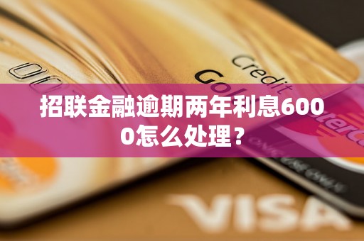 招联金融逾期两年利息6000怎么处理？