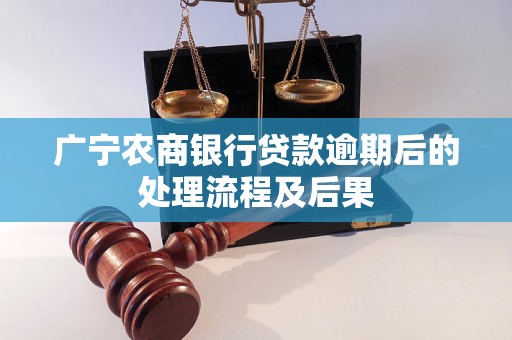 广宁农商银行贷款逾期后的处理流程及后果