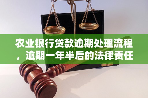 农业银行贷款逾期处理流程，逾期一年半后的法律责任