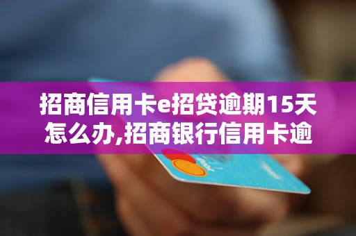 招商信用卡e招贷逾期15天怎么办,招商银行信用卡逾期处理流程